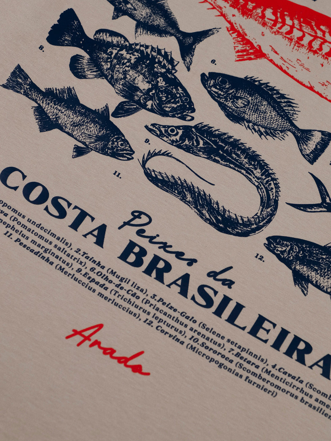 Camiseta | Peixes da Costa Brasileira