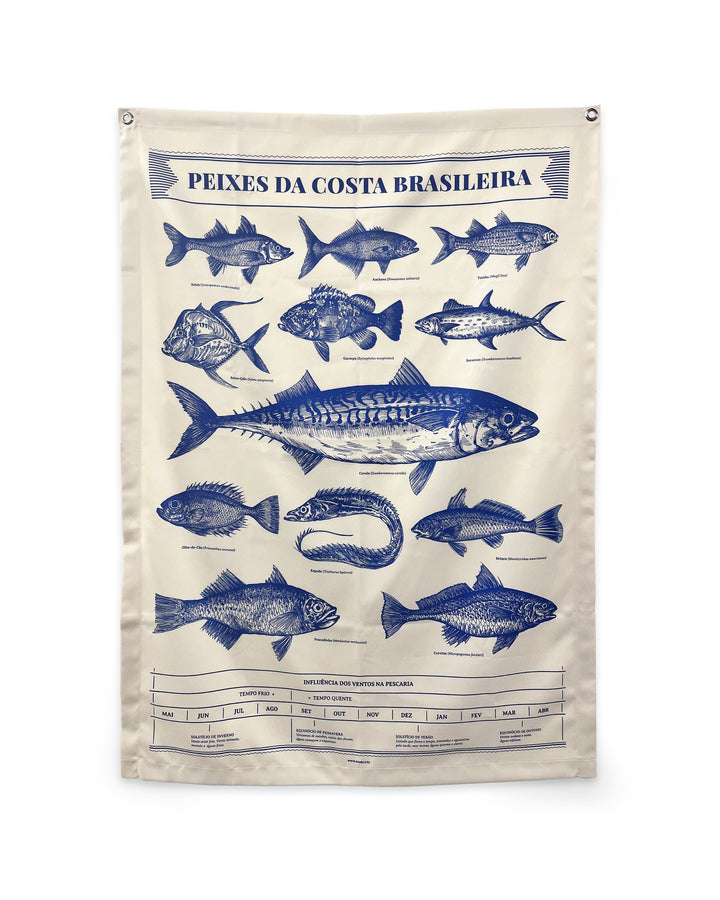 Bandeira | Peixes da Costa Brasileira