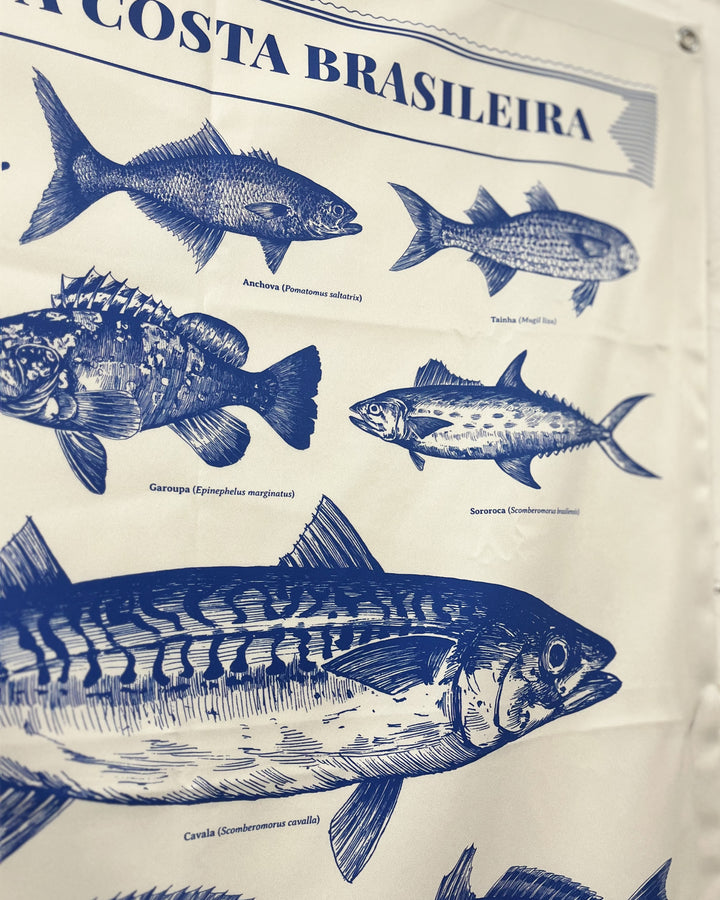 Bandeira | Peixes da Costa Brasileira